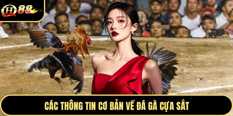 Các thông tin cơ bản về đá gà cựa sắt