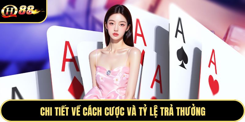 Chi tiết về cách cược và tỷ lệ trả thưởng