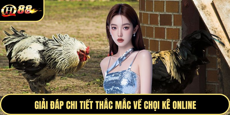 Giải đáp chi tiết thắc mắc về chọi kê online