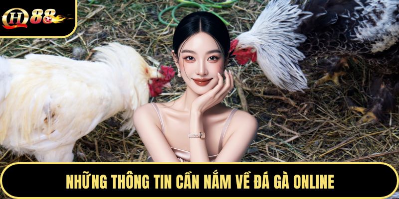 Những thông tin cần nắm về đá gà online