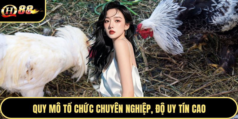 Quy mô tổ chức chuyên nghiệp, độ uy tín cao
