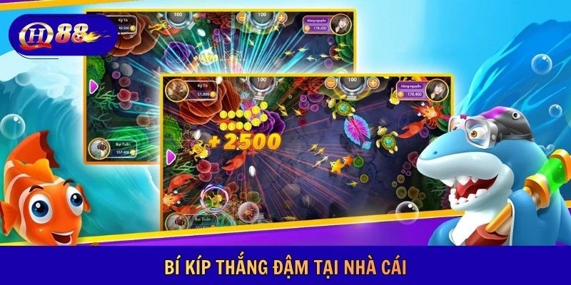 Mẹo chơi thắng lớn ở nhà cái